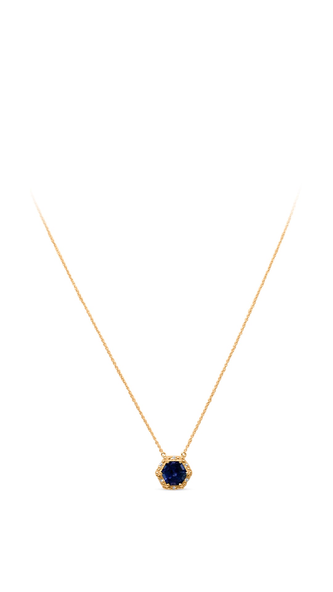 14K Yellow Gold Necklace with 2.08 Carat Hexagon-Cut Tanzanite Stone (PJCg46)