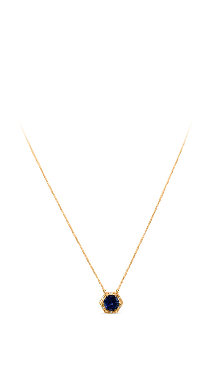 14K Yellow Gold Necklace with 2.08 Carat Hexagon-Cut Tanzanite Stone (PJCg46)