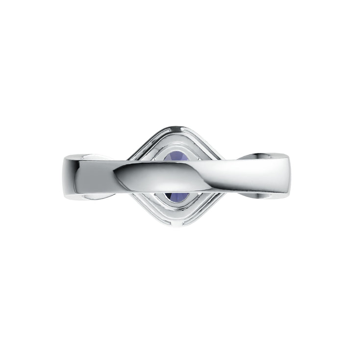 Chrome door handle on a white background 1